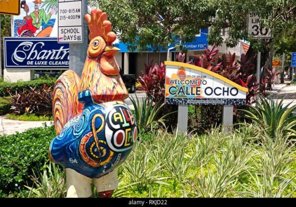 Intimate Casita Mia Minutes Away From Airport, Calle 8, Brickell, Coral Gables, The Beach And More! Miami Luaran gambar